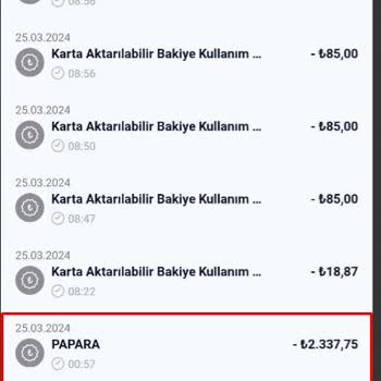 Paycell Papara Para Yatırma Sorunu
