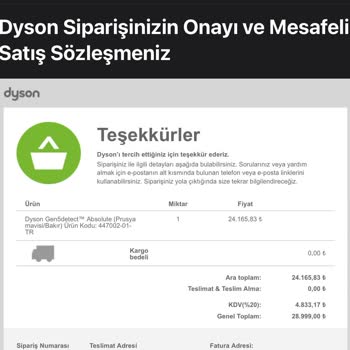 Dyson Acemi İlgisiz Amatör Ve Vasıfsız Bir Şirket Mi?