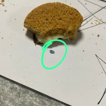 Ülker Üründen Atık Malzeme Çıktı