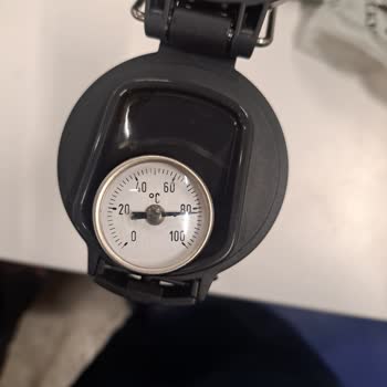 Kutupayısı Stanley Mi Asla!