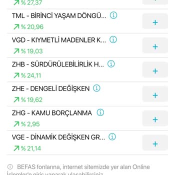 Türkiye Hayat Emeklilik Befas Fonlarına Ulaşılmıyor