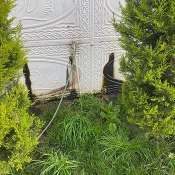 Çevre, Şehircilik Ve İklim Değişikliği Bakanlığı Darıca'da Yapılan Hayvancılık!