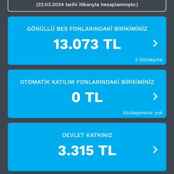 Türkiye Hayat Emeklilik BES Ana Paradan Kesinti.