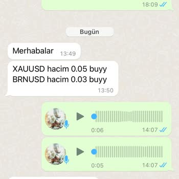 Green Fx Yatırım Danışmanlığı Hizmetinde Beklenenin Altında