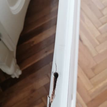 Mobs Ahşap Yatak Odası Dolabı Kapağı Sorunu Ve Müşteri Hizmetleri Tepkisi