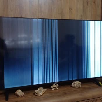 Sunny Televizyon Ekran Beyaz Oldu