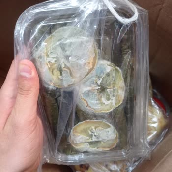 PTT Kargo Çok Kötü Bir Hizmet/umursamazlık/ilgisizlik