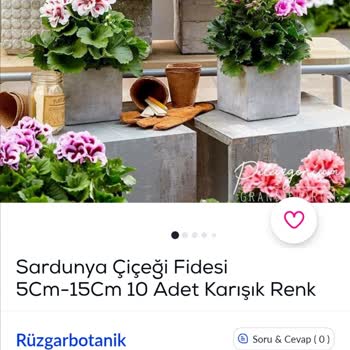 Rüzgar Botanik Acil İletişim İstiyorum