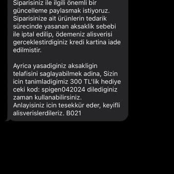 Spigen AirPods Case & Bag Order 34 Days Late