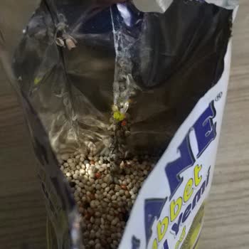 Happy Center Kurtlanmış Kuş Yemleri