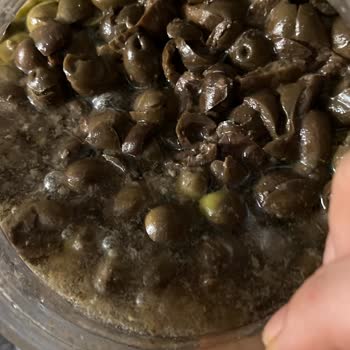 Gezer Köy Ürünleri Mağduriyeti