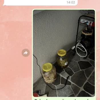 Gezer Köy Ürünleri Mağduriyeti