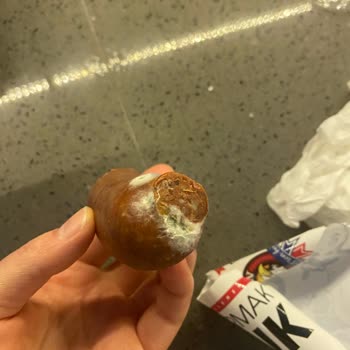 Şahin Sucukları Marketten Alınan Sucukta Küf Sorunu