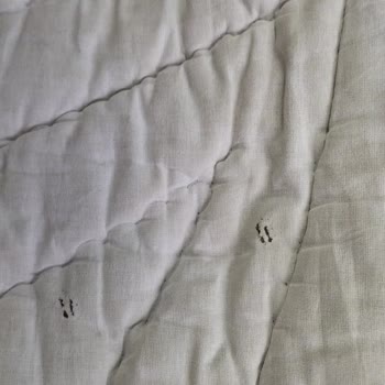 Beyaz İnci Halı Yıkama (Karabük) Yorganın Yırtılması Ve Renk Değişimi