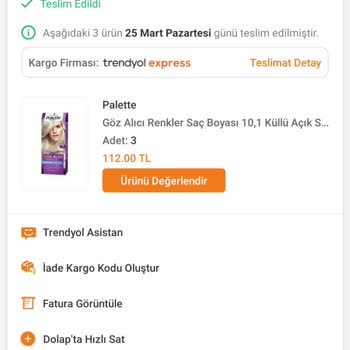 Palette Saç Boyası Hayal Kırıklığı: Beklentilerin Altında