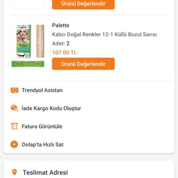 Palette Saç Boyası Hayal Kırıklığı: Beklentilerin Altında