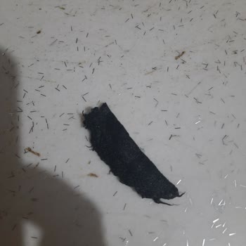 Samsung Çamaşır Makinesi Pişmanlığım