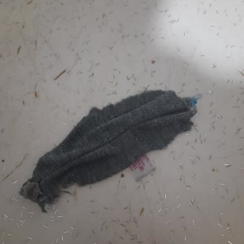 Samsung Çamaşır Makinesi Pişmanlığım