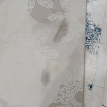 Uşak Yağmur Halı Yıkama Şikayet Var