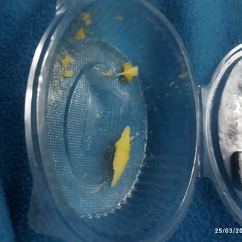 Peysan Peynir Helvasında Çıkan Bir Parça