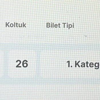 Biletinial.com Bilet İptal Sorunu