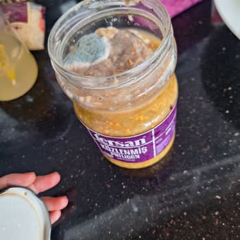 Fersan Közlenmiş Patlıcan Kavanozunun Küflenmesi