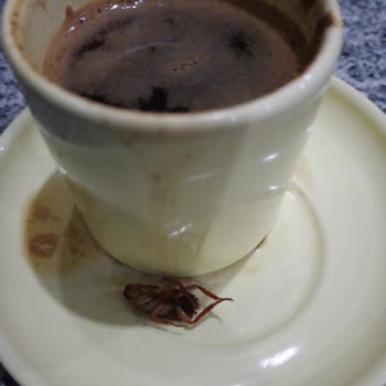 Tuğba Kuruyemiş Böcekli Kahve Çıktı
