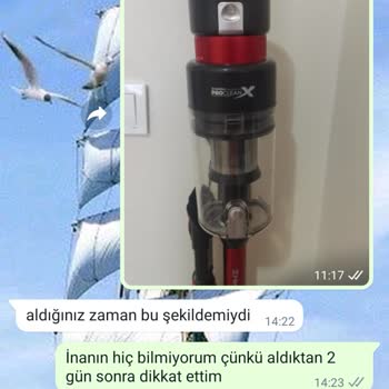 Heifer Süpürge Kendiliğinden Çatlıyor