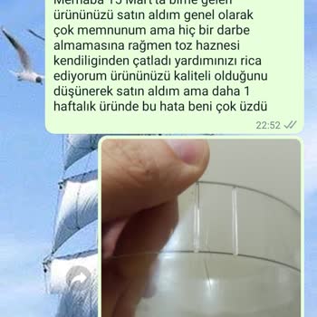 Heifer Süpürge Kendiliğinden Çatlıyor
