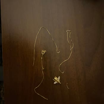 Fi Season Sürekli Kopan Kolye