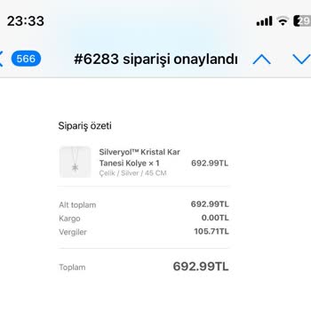 Silveryol Mağduriyetim Ve Çözüm Beklentim