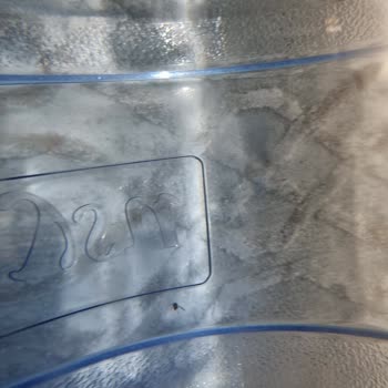 Beysu Damacana Su İçinden Sinek Çıktı!