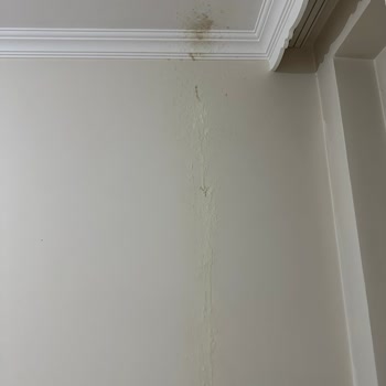 Altınkılıç Kefirix Ürünü Bomba Gibi Odamda Patladı.