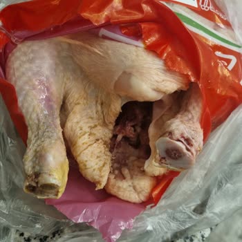 Lezita Tavuk Çürük Çıktı