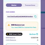 Binance $100 CS Token Purchase Stuck in PancakeSwap