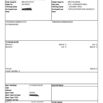 Paramkart In Ayıbı