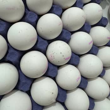 30 Lu Atalay Yumurta Küflü Çıktı.