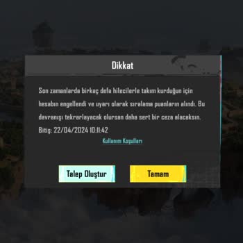 PUBG (Pubgmobile.com) Bu Sorunun Giderilsin