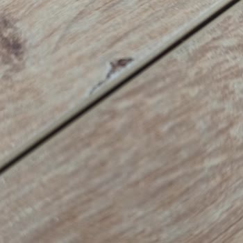 İstikbal Mobilya Sorunları Eski Kaliteden Uzak