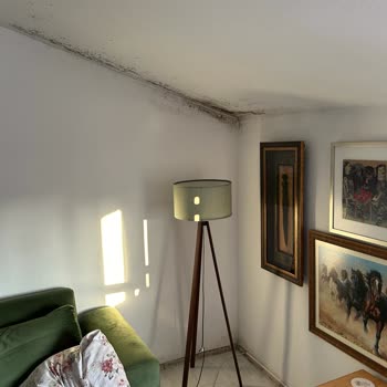 Axa Sigorta Konut Sigortası Ödememe Bahanesi