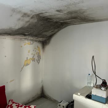 Axa Sigorta Konut Sigortası Ödememe Bahanesi