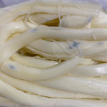 File Harras Peynir Bozuk