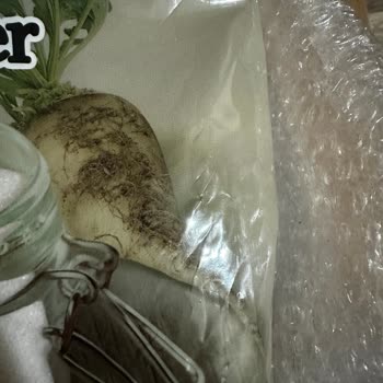 Migros Kargo Operasyonu Hasarlı Ürün Yollayıp İlgilenmiyor