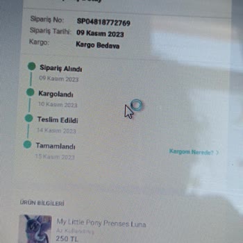 Sürat Kargo Tanzim İşlemi Kayıp Kargo