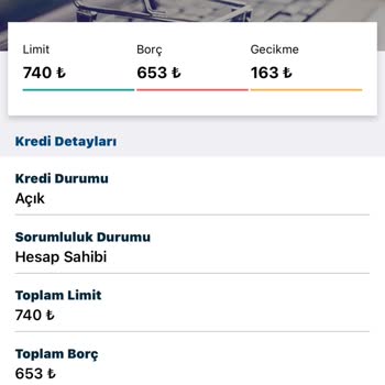 Financell (Turkcell Finansman) Turkcell Finansman KKB Findeks Notumu Düşürüyor Haksız Yere