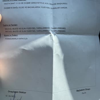 Manisa Büyükşehir Belediyesi M***** K****** Başıboş Köpek Saldırısı