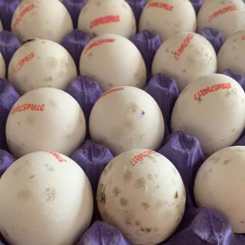 Şok Market Çeşme Cadde Mağazası Bozuk Yumurta Satıp İade Almıyor