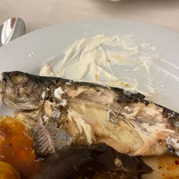 Adenya Resort Hotels & Spa Yemekten Demir Çıktı!