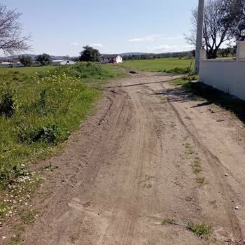 Geyikli Belediyesi Yol Çalışması!