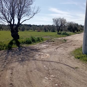 Geyikli Belediyesi Yol Çalışması!